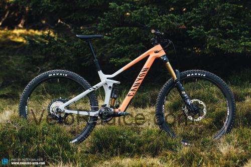 Canyon Strive recensioni e scheda tecnica